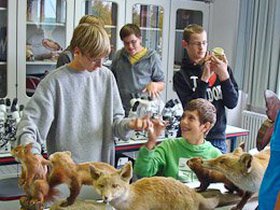 Projekttage 260-2.jpg